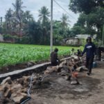 Proyek Irigasi di Sidodadi Tanpa Molen dan Papan Informasi, Warga Keluhkan Transparansi