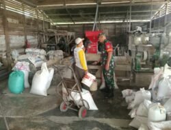 Tingkatkan Kesejahteraan Petani, Babinsa Tinjau Kilang Padi yang Kini Jadi Sumber Pangan Utama