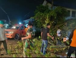 Aksi Heroik Babinsa dan BPBD Pohon Tumbang Depan Sekolah SMA 3 Dibereskan