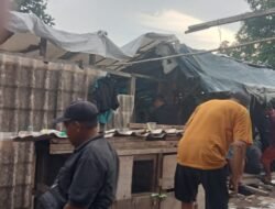 Sabung Ayam di Kp Nanas Tidak Tersentuh Hukum, Ada Apa?