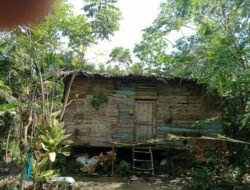 Rumah Warga Yang Sudah Tidak Layak Huni Di Simpang Ulim Tak Kunjung Mendapatkan Bantuan Dari Pemerintah