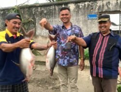Lapas Tanjungbalai Asahan Panen Ikan Patin, Wujudkan Ketahanan Pangan dan Jum’at Berkah
