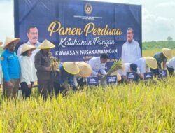 Nusakambangan Panen Perdana Bangun Lumbung Ketahanan Pangan Dan Beri Kesempatan Warga Binaan.