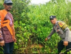 Kapolres Aceh Timur Imbau Warga Awasi Hewan Ternaknya