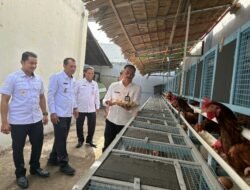 Dukung Ketahanan Pangan,Lapas Banda Aceh Panen Perdana Telur Ayam