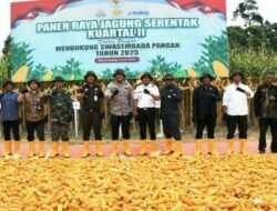 Dukung Kedaulatan Pangan, Polres Aceh Timur Bersama Pemkab dan Kelompok Tani Gelar Panen Raya Jagung di Ranto Peureulak