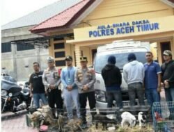 Polres Aceh Timur Amankan Kendaraan Pengangkut Barang dan Hewan Illegal Yang Diselundupkan Melalui Jalur Laut