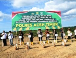 Polres Aceh Timur Dukung Program Ketahanan Pangan Nasional Dengan Laksanakan Penanaman Jagung Kuartal III di Lahan Dua Hektar