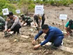 Dalam Rangka Peringati Hari Mangrove Sedunia Walikota Langsa Turut Andil Dalam Aksi Penanaman Pohon