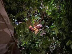 Penemuan Sesosok Mayat Pria Bersimbah Darah di Aceh Timur Diduga korban Pembunuhan