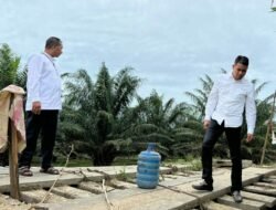 Harapan Warga Saat Wakil Bupati Aceh Timur Tinjau Jembatan Rusak di Desa Alue Canang.