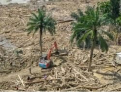 Pemerintah Izinkan Warga Ambil Kayu Yang Terbawa Arus Pasca Bencana Banjir Bandang, Dengan Syarat dan Mekanisme yang Diatur
