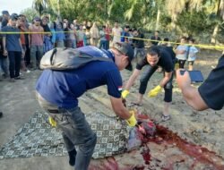 Pelaku Pembunuhan di Peureulak Barat Serahkan Diri ke Polres Aceh Timur