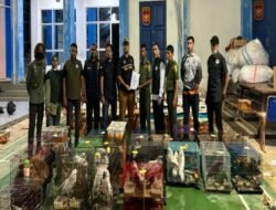 Tim Gabungan Bea Cukai Langsa Gagalkan Upaya Ekspor Ilegal Ratusan Satwa Liar Dilindungi