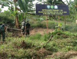 Satgas TMMD Kodim 0104/Atim Sulap Lahan Tidur Jadi Kebun Produktif di Alue Canang