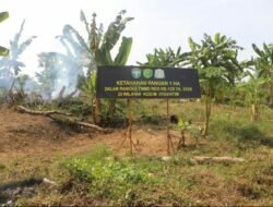 Satgas TMMD 0104/Atim Tuntaskan Pekerjaan Lanjutan Lahan Produktif 1 Hektare