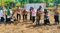 Polsek Peureulak Timur Dukung Ketahanan Pangan, Tanam Jagung Serentak Kuartal I Tahun 2026