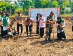 Polsek Peureulak Timur Dukung Ketahanan Pangan, Tanam Jagung Serentak Kuartal I Tahun 2026