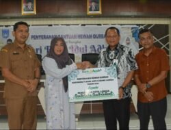 Sambut Idul Adha 1447 H, Pemko Langsa Salurkan 62 Hewan Qurban Untuk Masyarakat