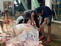 SD 2 Muhammadiyah Langsa Ambil Peran dalam Ibadah Qurban 1447 H/2026 M