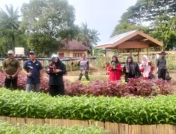IKBI PTPN lV Kebun baru Luncurkan Program Karang Kriti, Jadi Apotek Hidup Untuk kesehatan dan Ekonomi Keluarga