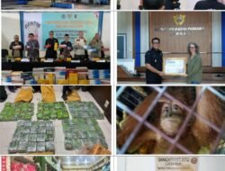 Perkuat Pengawasan dan Pelayanan, Bea Cukai Langsa Catat Kinerja Positif pada Semester I 2026
