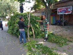 Babinsa dan DLH Kompak Tata Pohon, Wujudkan Kota Langsa yang Asri