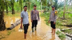 Kapolsek Simpang Jernih Pantau Banjir di Pante Kera, 30 KK Masih Mengungsi