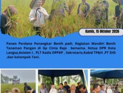 Panen Perdana Penangkaran Benih Padi di Gampong Cinta Raja, Kecamatan Langsa Timur