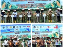 Polisi Peduli Pangan, Polres Aceh Timur Gelar Panen Raya Jagung Kuartal III Tahun 2026