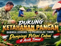 Dukung Ketahanan Pangan, Babinsa Koramil 14/Peureulak Timur Dampingi Petani Cabai di Aceh Timur