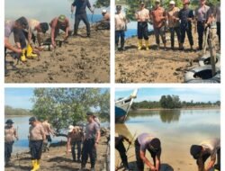 Green Policing, Polsek Julok Tanam Bakau, Ajak Warga Jaga Ekosistem Pesisir